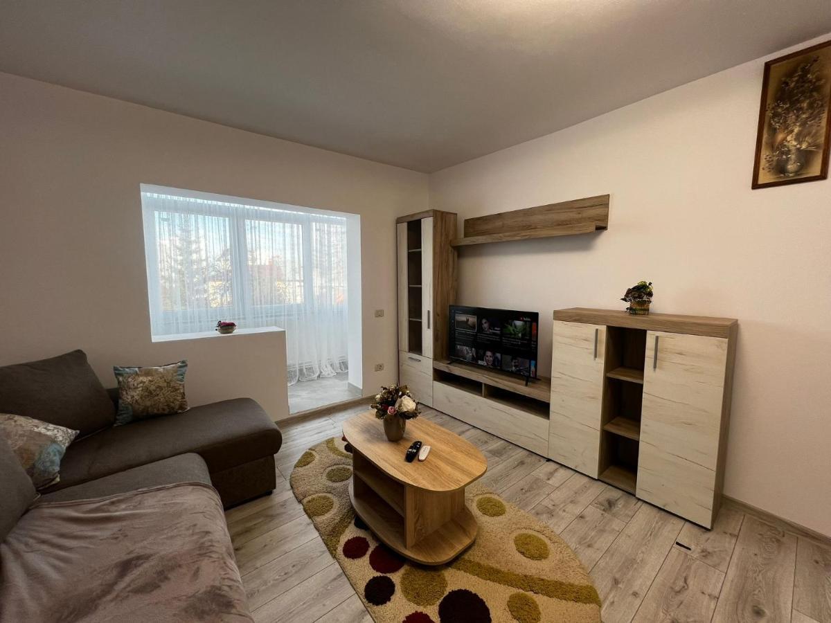 Cozy Urban Accommodation In Beautiful Сучава Екстер'єр фото